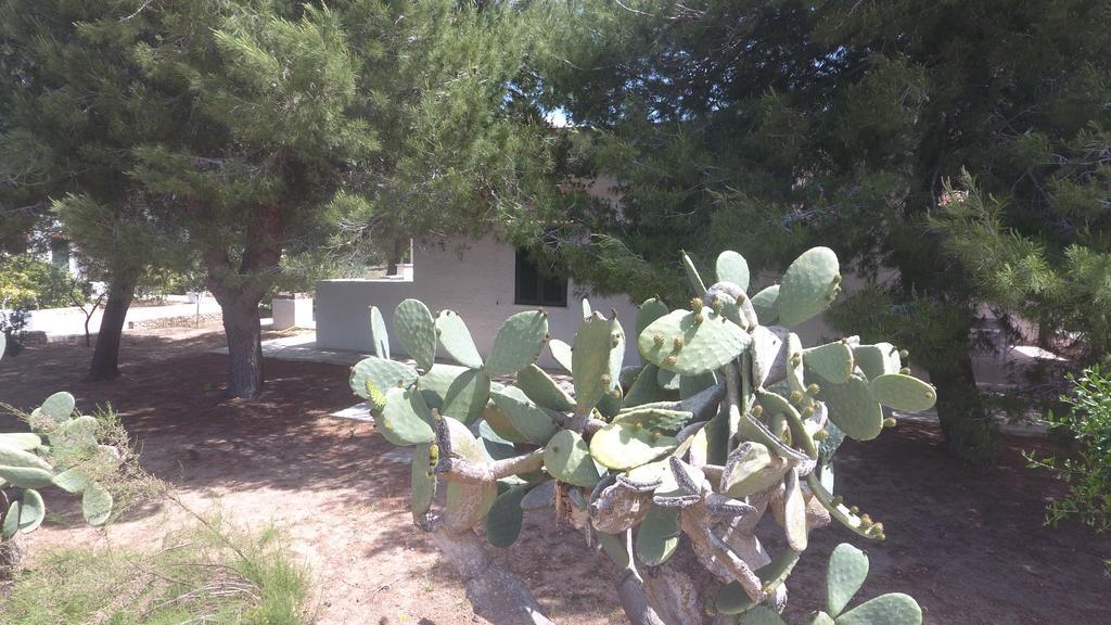 Appartamenti In Villa Senia Favignana Dış mekan fotoğraf