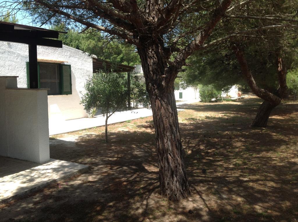 Appartamenti In Villa Senia Favignana Dış mekan fotoğraf
